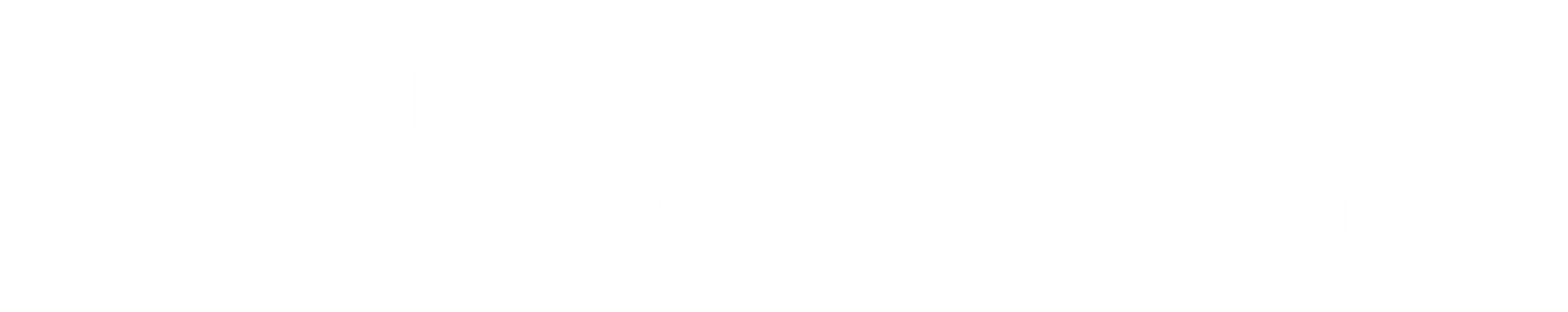 Page Header Logo